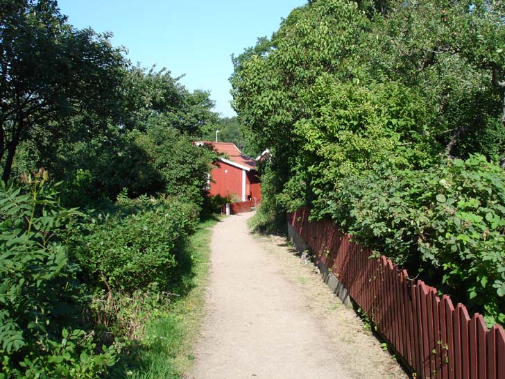 En typisk "gata" på Brändaholm, i detta fallet Mångatan.